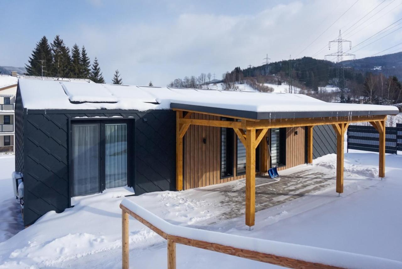 Chalet Stuhleckblick-Ferienhaus Direkt An Der Piste Und Mit Eigener Sauna Spital am Semmering Eksteriør billede